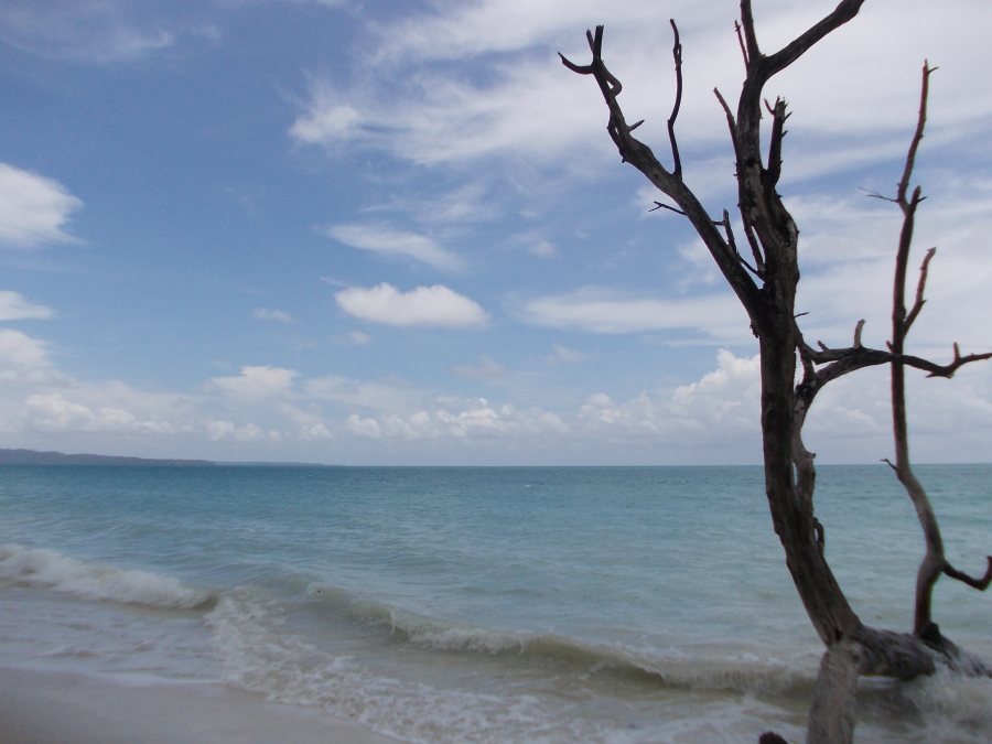 Port Blair , Havelock Island , Neil Island